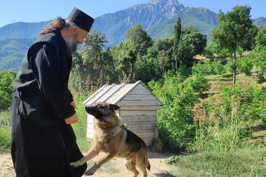 For the Love of Mount Athos: A Sacred Sanctuary for the Animal Kingdom